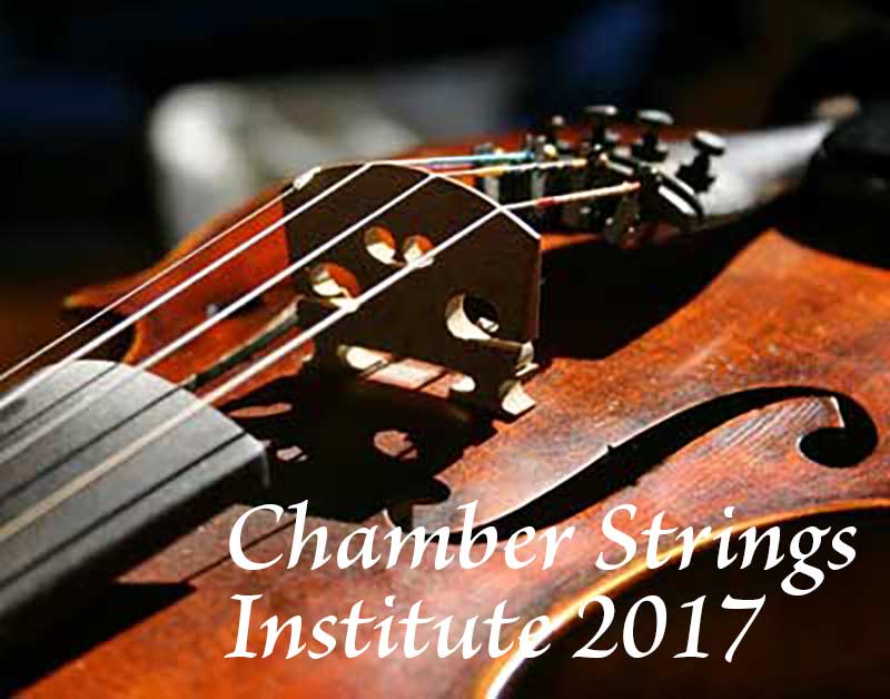 Chamber Strings Institute 2017