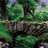 Brigadoon