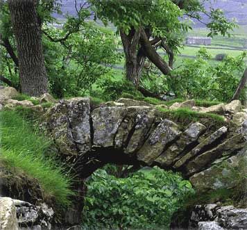 Ancient Scottish bridge